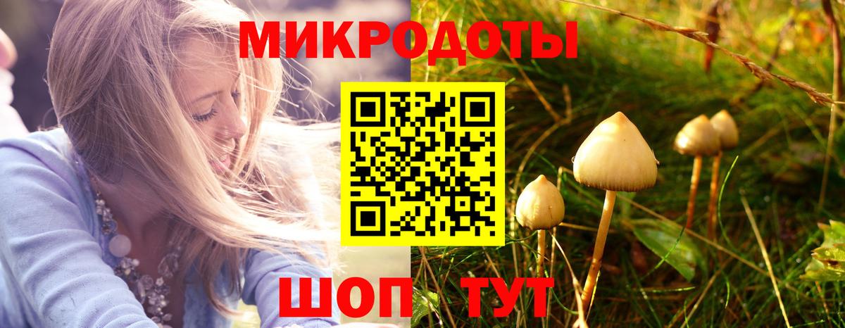 Галлюциногенные грибы Magic Shrooms Качканар