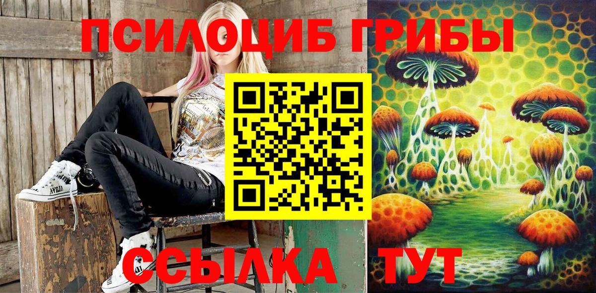 закладка  Вход с VPN  Качканар  Псилоцибиновые грибы Psilocybe 