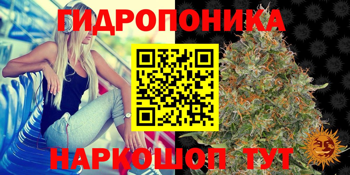 Марихуана семена Качканар